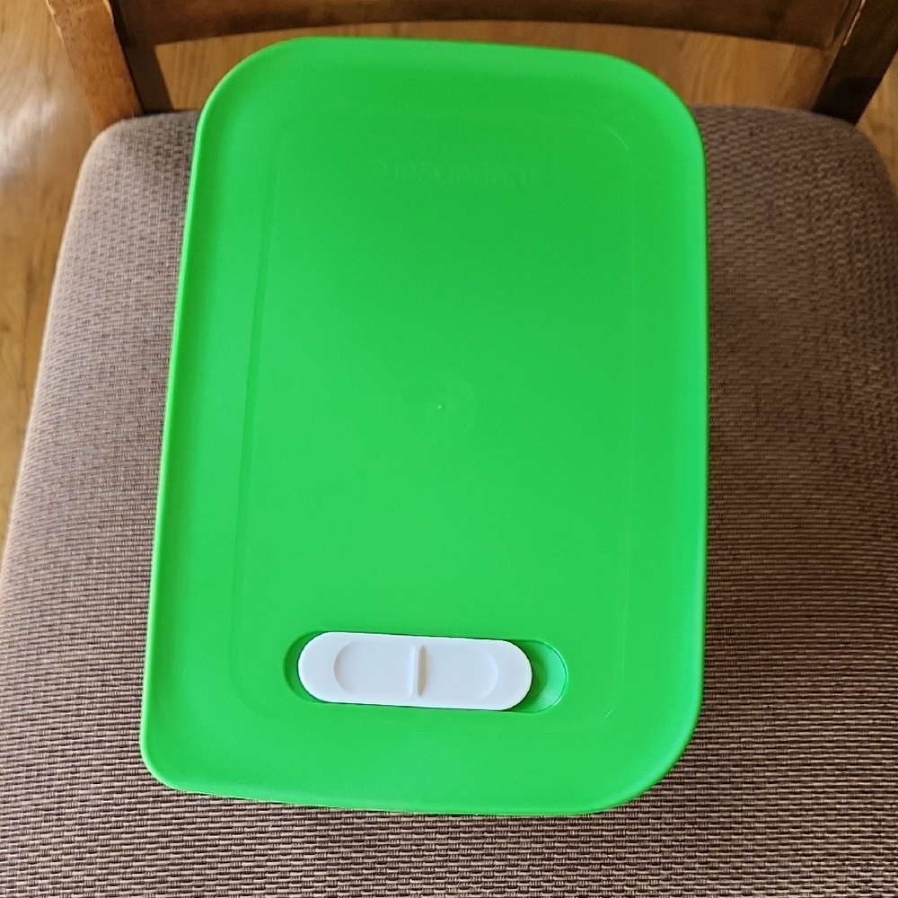 Tupperware FridgeSmart Plastic Storage Container with Green Lid
